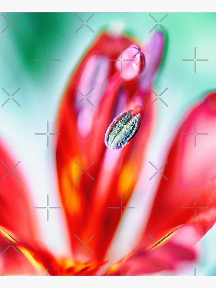 Flower Mystical by WendyLeyten
