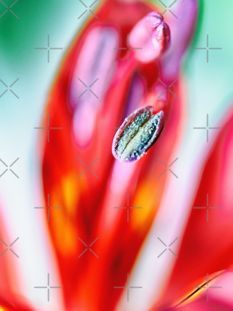 Flower Mystical by WendyLeyten