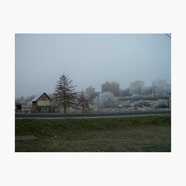 Snow Garden Photographic Print