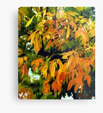 Otoño Metal Print
