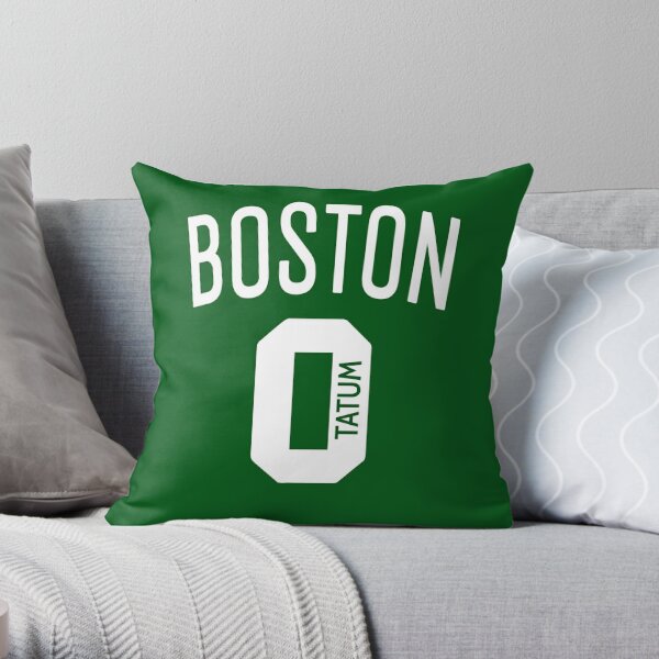 18x18 MLB Boston Red Sox City Connect Decorative Throw Pillow