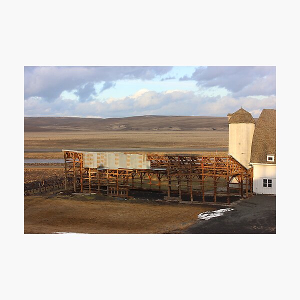 Building Series I - Skeleton Shed IV Photographic Print