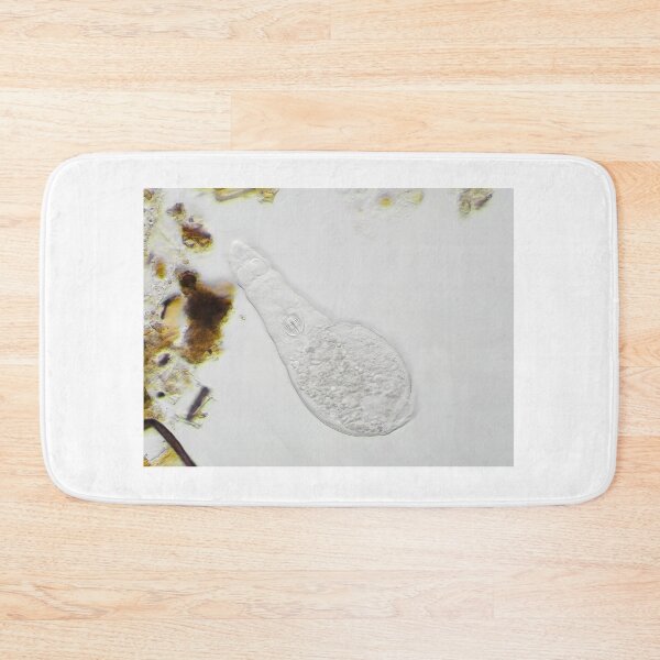 Item preview, Bdelloid rotifer under the microscope designed and sold by SDym Photography.