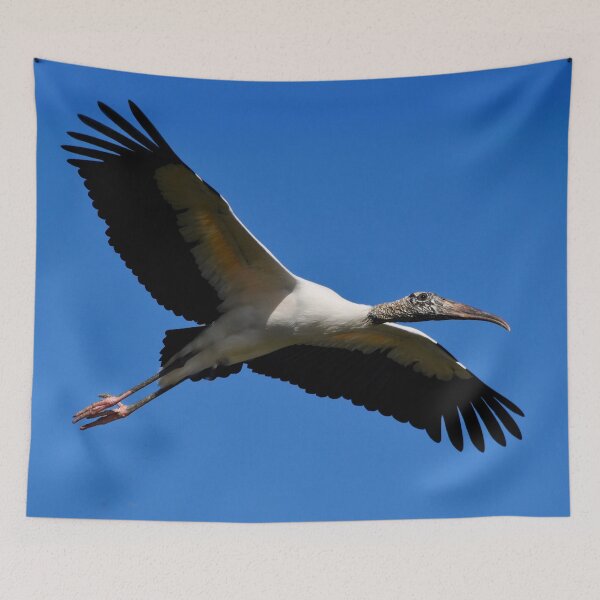 Item preview, Wood Stork in Flight designed and sold by richardbryce.