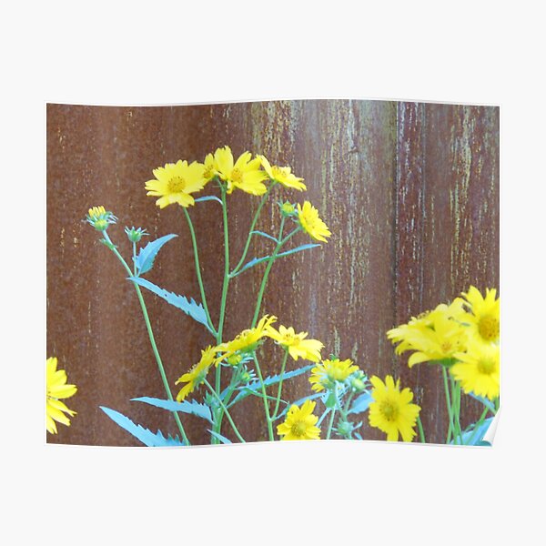 Untitled Poster