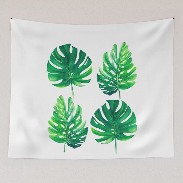Item preview, Variegated Monstera Deliciosa designed and sold by nanathaishop.