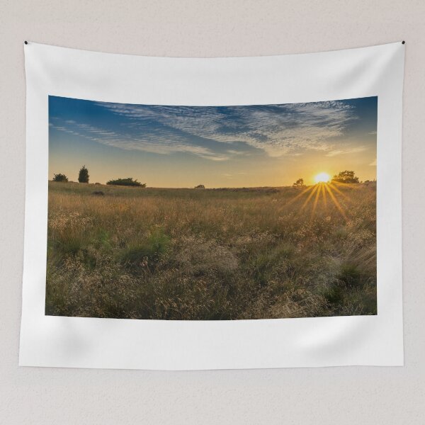 Item preview, Sunset on the Heath designed and sold by DiFigianoPhoto.