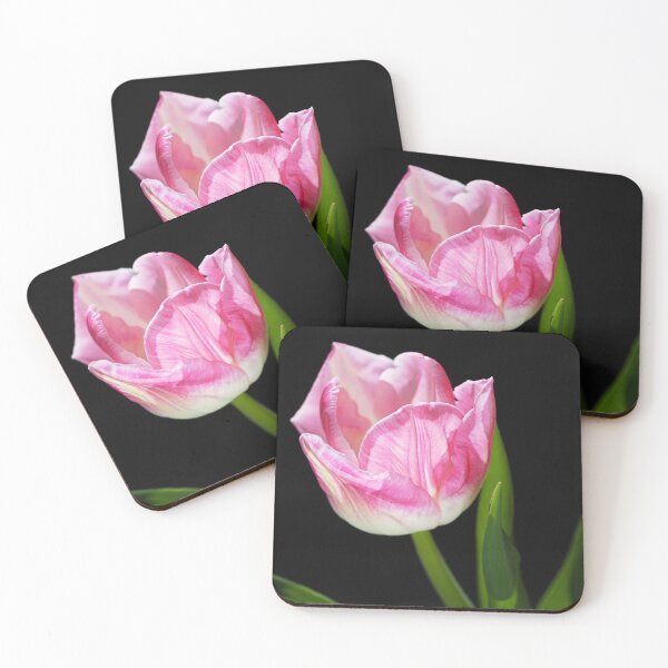 Item preview, Pink With Soft White Tulip designed and sold by Joy Watson - Natural Light Photography .