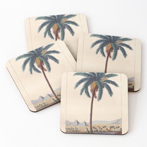 Item preview, Antique plant illustration - datier (date palm) designed and sold by Gardenlibrary.