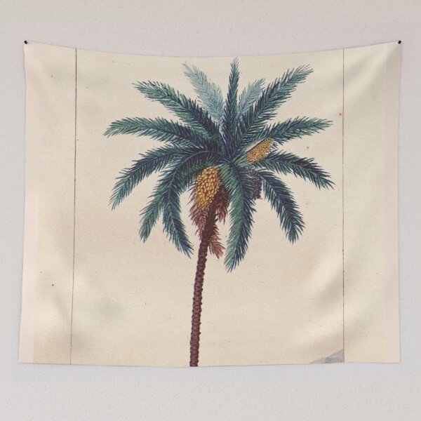 Item preview, Antique plant illustration - datier (date palm) designed and sold by Gardenlibrary.