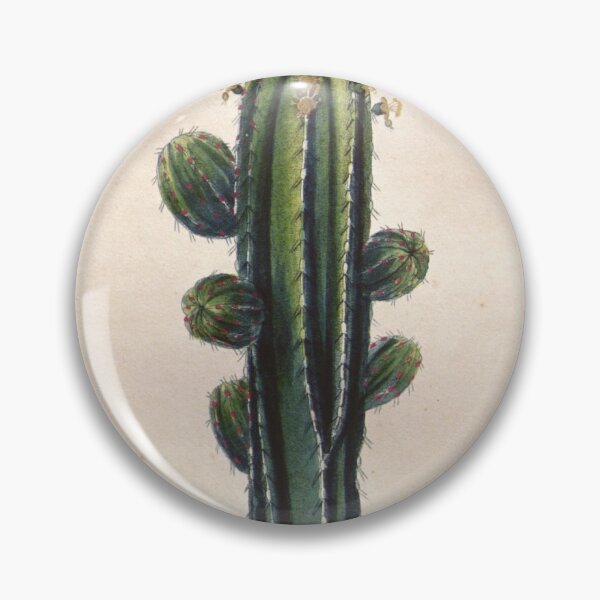 Item preview, Antique plant illustration - euphorbe officinale (euphorbia) designed and sold by Gardenlibrary.