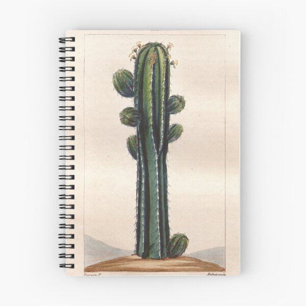 Item preview, Antique plant illustration - euphorbe officinale (euphorbia) designed and sold by Gardenlibrary.