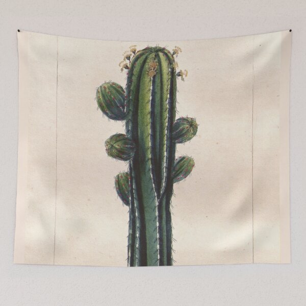 Item preview, Antique plant illustration - euphorbe officinale (euphorbia) designed and sold by Gardenlibrary.