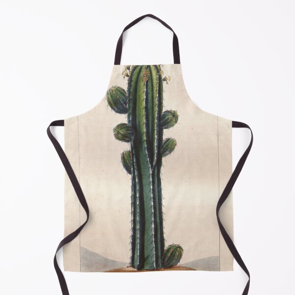 Item preview, Antique plant illustration - euphorbe officinale (euphorbia) designed and sold by Gardenlibrary.