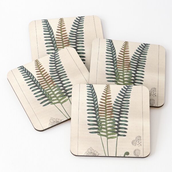Item preview, Antique plant illustration - Polypode (common polypody) designed and sold by Gardenlibrary.