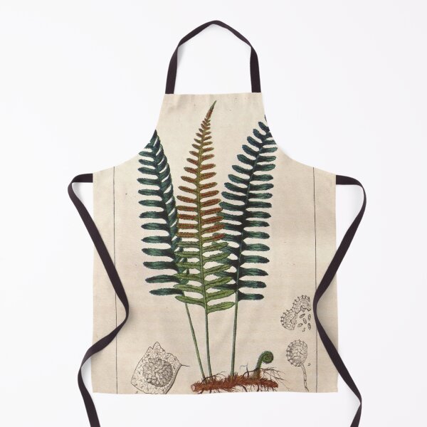 Item preview, Antique plant illustration - Polypode (common polypody) designed and sold by Gardenlibrary.