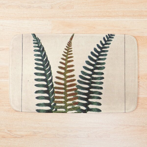 Item preview, Antique plant illustration - Polypode (common polypody) designed and sold by Gardenlibrary.