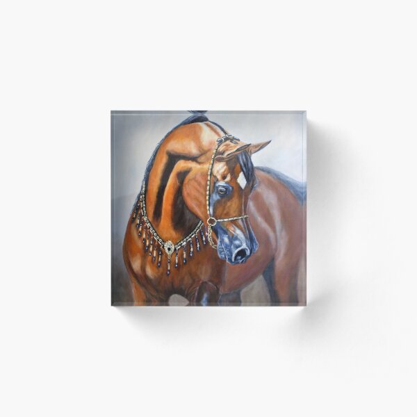 Arabian horse Acrylic Block