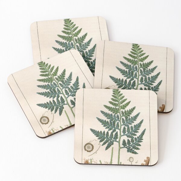 Item preview, Antique plant illustration - Calaguala fern (Polypodium leucotomos) designed and sold by Gardenlibrary.