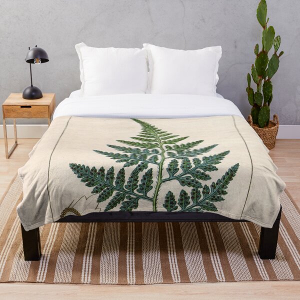 Item preview, Antique plant illustration - Calaguala fern (Polypodium leucotomos) designed and sold by Gardenlibrary.