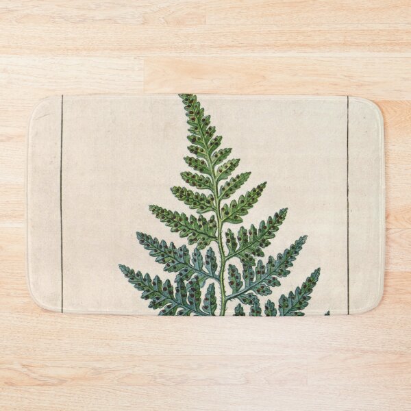 Item preview, Antique plant illustration - Calaguala fern (Polypodium leucotomos) designed and sold by Gardenlibrary.