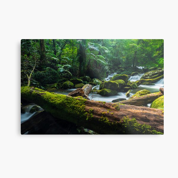 Item preview, Lamington NP, Qld designed and sold by McguiganVisuals.