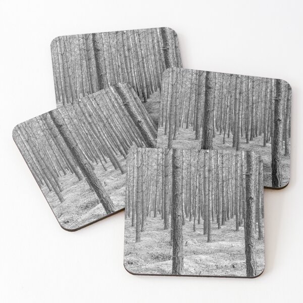 Item preview, Muritz Conifers designed and sold by DiFigianoPhoto.