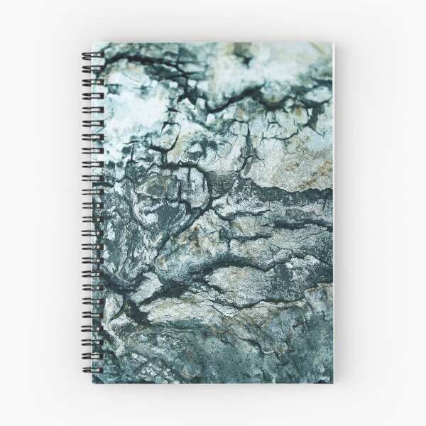 Item preview, Björk bark designed and sold by MadeByLen.