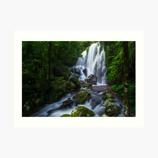 Chalahn Falls, Lamington NP Art Print