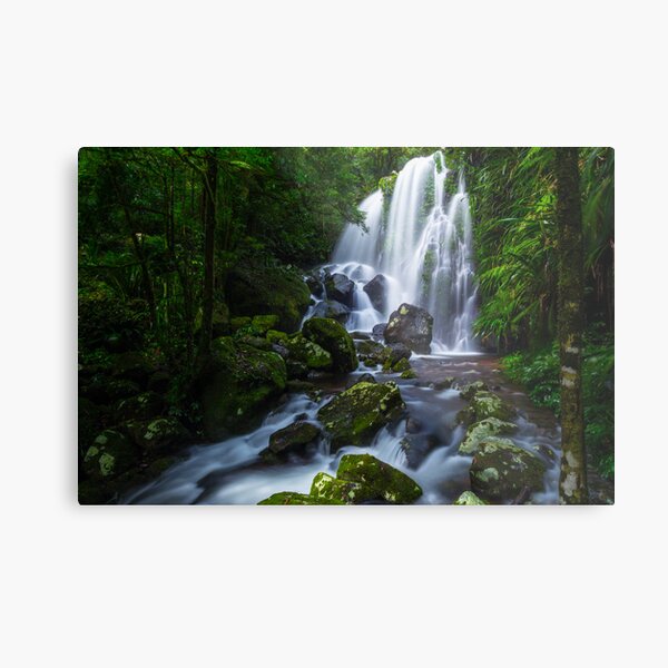 Item preview, Chalahn Falls, Lamington NP designed and sold by McguiganVisuals.