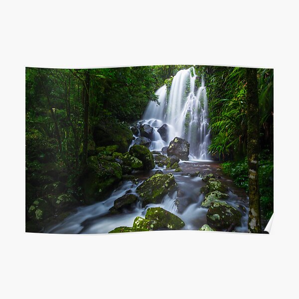 Chalahn Falls, Lamington NP Poster