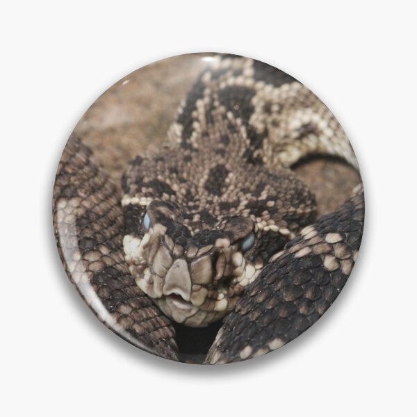 Item preview, Rattlesnake designed and sold by The Suns Anvil.