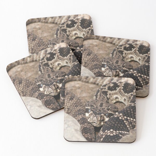 Item preview, Rattlesnake designed and sold by The Suns Anvil.