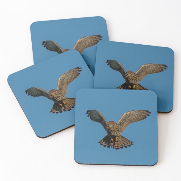 Item preview, kestrel hunting designed and sold by tammy mellor.