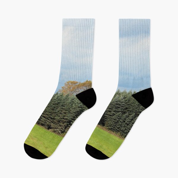 Item preview, Pines and Field Horizontal designed and sold by Susie Kramer.