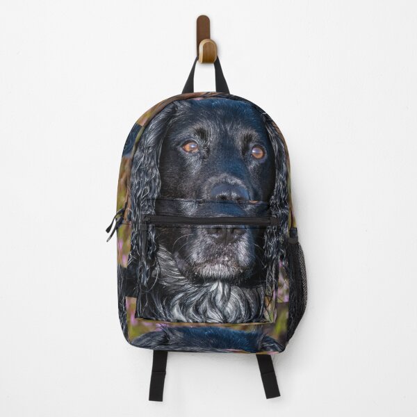 Item preview, alfie the cocker spaniel designed and sold by tammy mellor.
