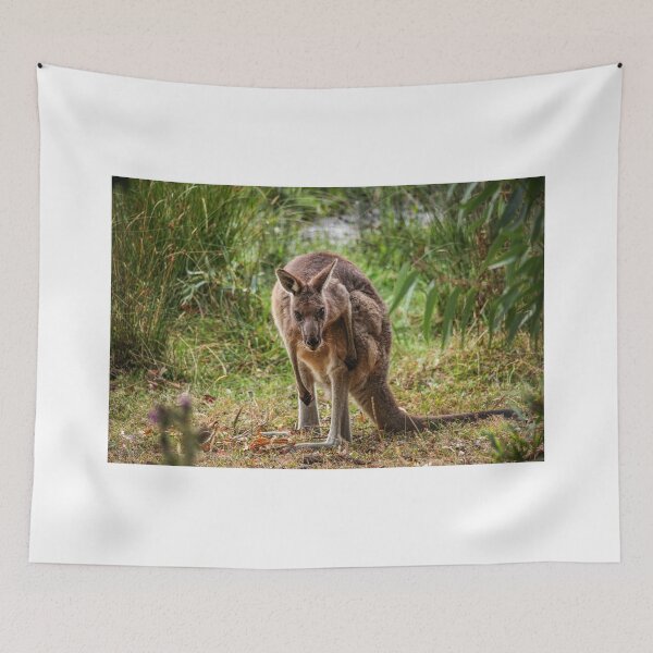 Item preview, Kangaroo portrait designed and sold by gcmadan.