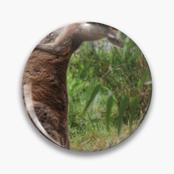 Item preview, Kangaroo scratching designed and sold by gcmadan.