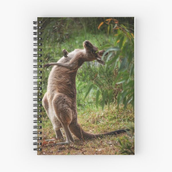 Item preview, Kangaroo scratching designed and sold by gcmadan.