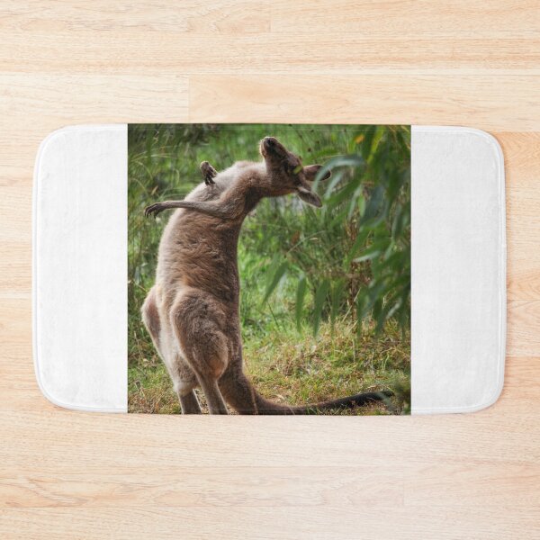 Item preview, Kangaroo scratching designed and sold by gcmadan.
