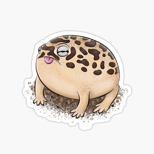 Cute brown desert rain frog cartoon illustration Sticker