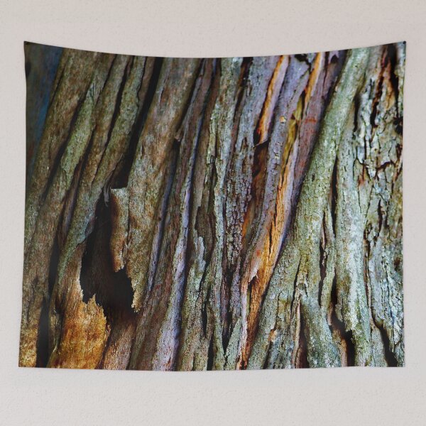Item preview, Eucalyptus Tree Bark and Wood Texture 19 designed and sold by Anna Lemos.