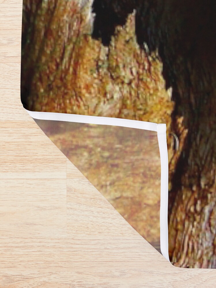 Alternate view of Eucalyptus Tree Bark and Wood Texture 19 Shower Curtain