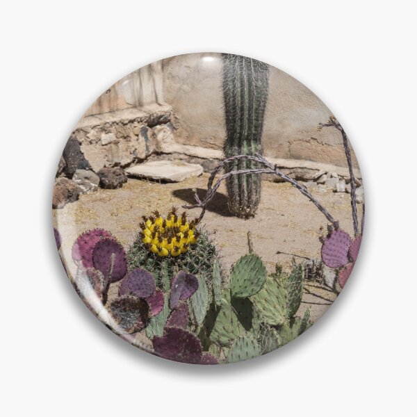 Item preview, USA. Arizona. Mission San Xavier del Bac. Cactus Garden. designed and sold by vadim19.