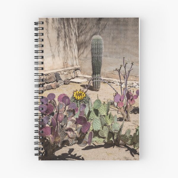 Item preview, USA. Arizona. Mission San Xavier del Bac. Cactus Garden. designed and sold by vadim19.