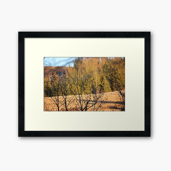 Deer on Mountain Series I - Afternoon Sun I Framed Art Print