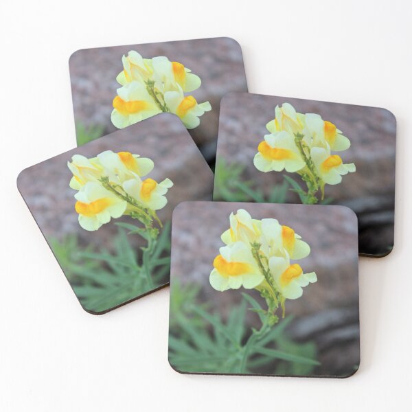 Item preview, Weeds are Pretty too! designed and sold by Susie Kramer.