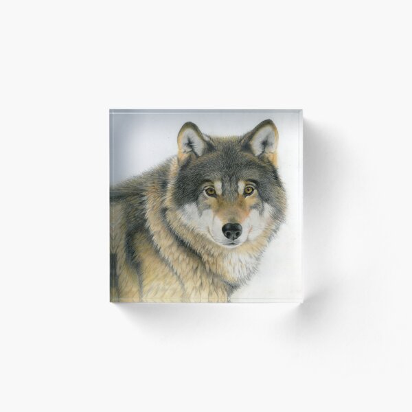 Grey Wolf Acrylic Block