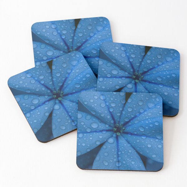 Item preview, Plumbago Closeup designed and sold by Keith's Photo Artistry.