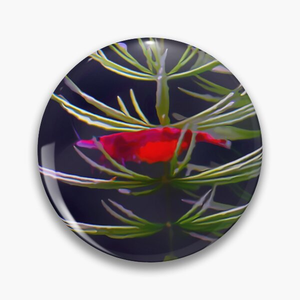 Item preview, Cherry Shrimp designed and sold by GFishy.